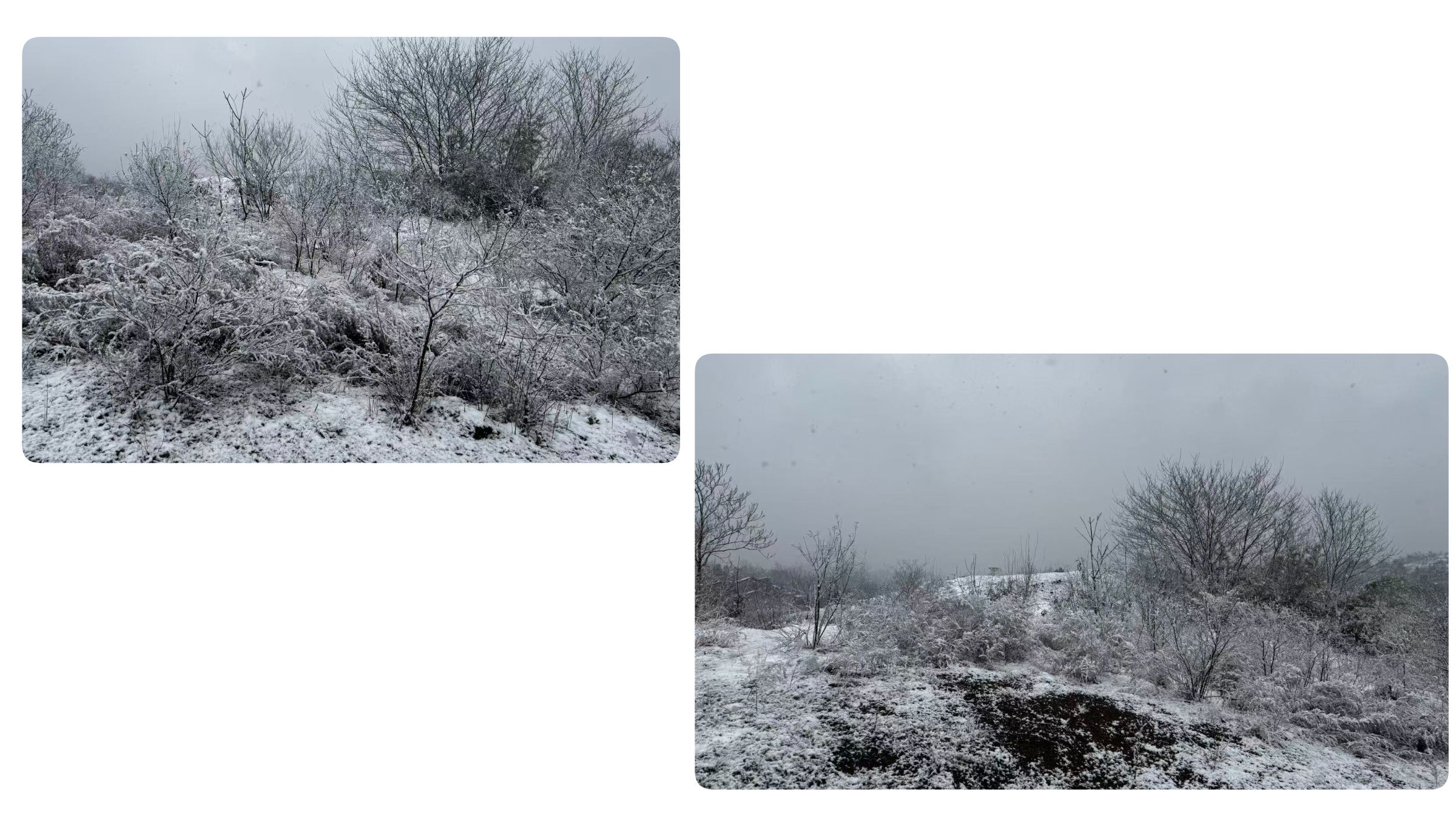 太冷了,拍不动了