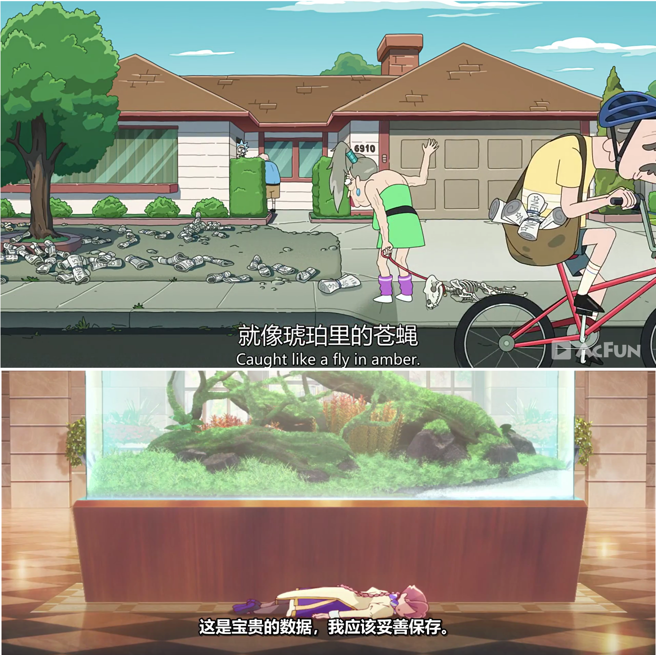 P1: R&M (S6E1) P2: E1